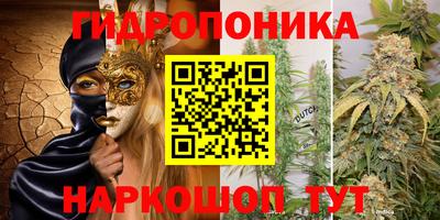 прущие грибы Изобильный
