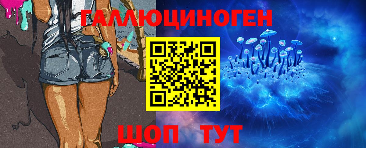 Кызыл  Псилоцибиновые грибы мицелий  Вход с VPN  Галлюциногенные грибы Psilocybine cubensis 
